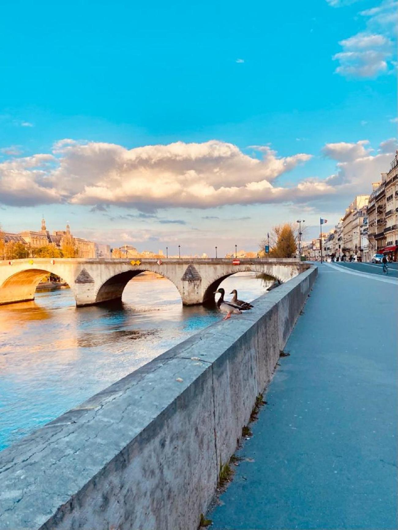 Appartamento 04 Flat Montorgeuil 3